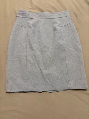 Gorgeous Light Gray Pencil Skirt
